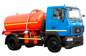 Tree Roots vs. Septic Pipes: How to Prevent a Subterranean Disaster